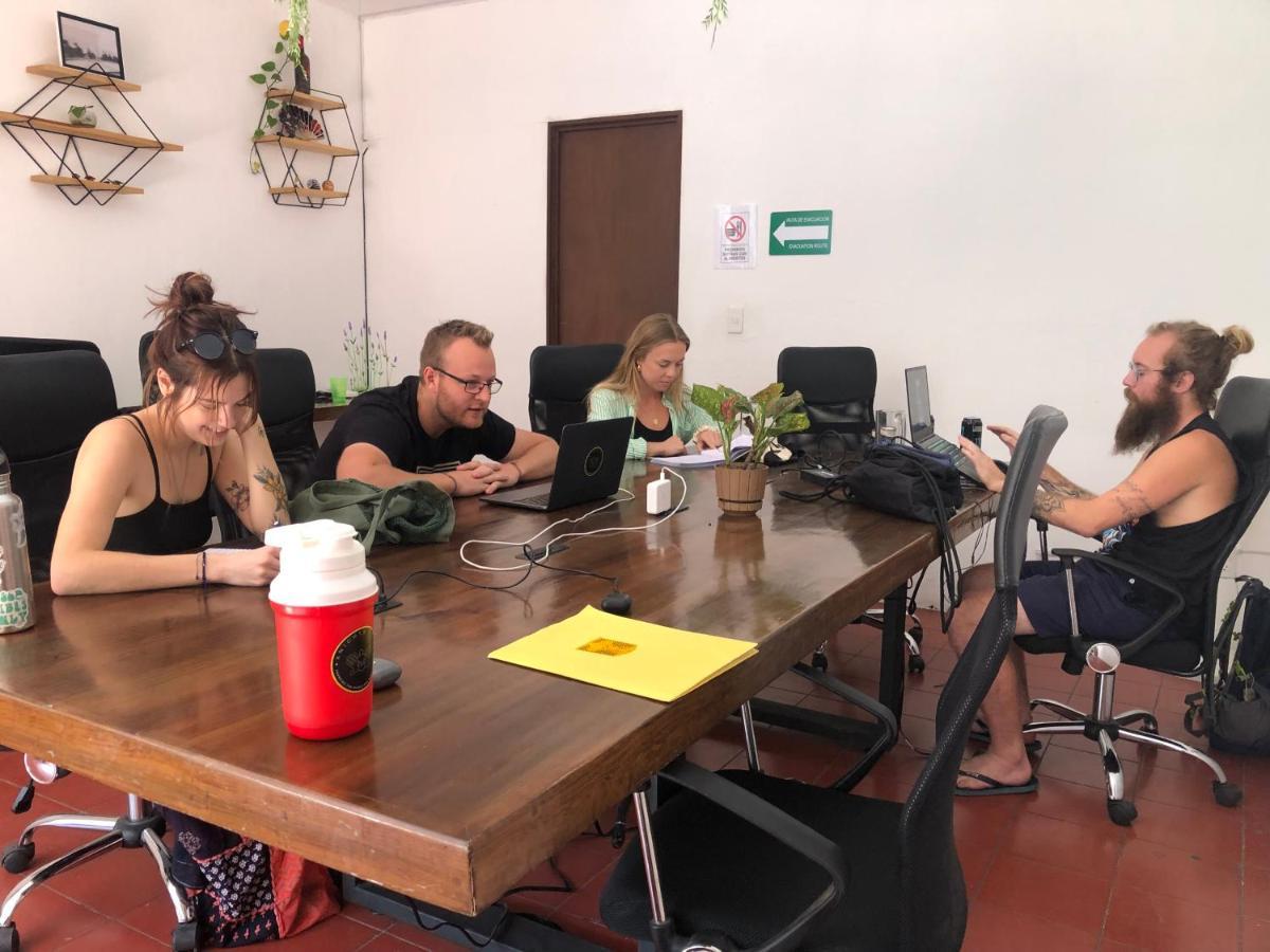 A Pousada Leveli Coliving Guadalajara Exterior foto