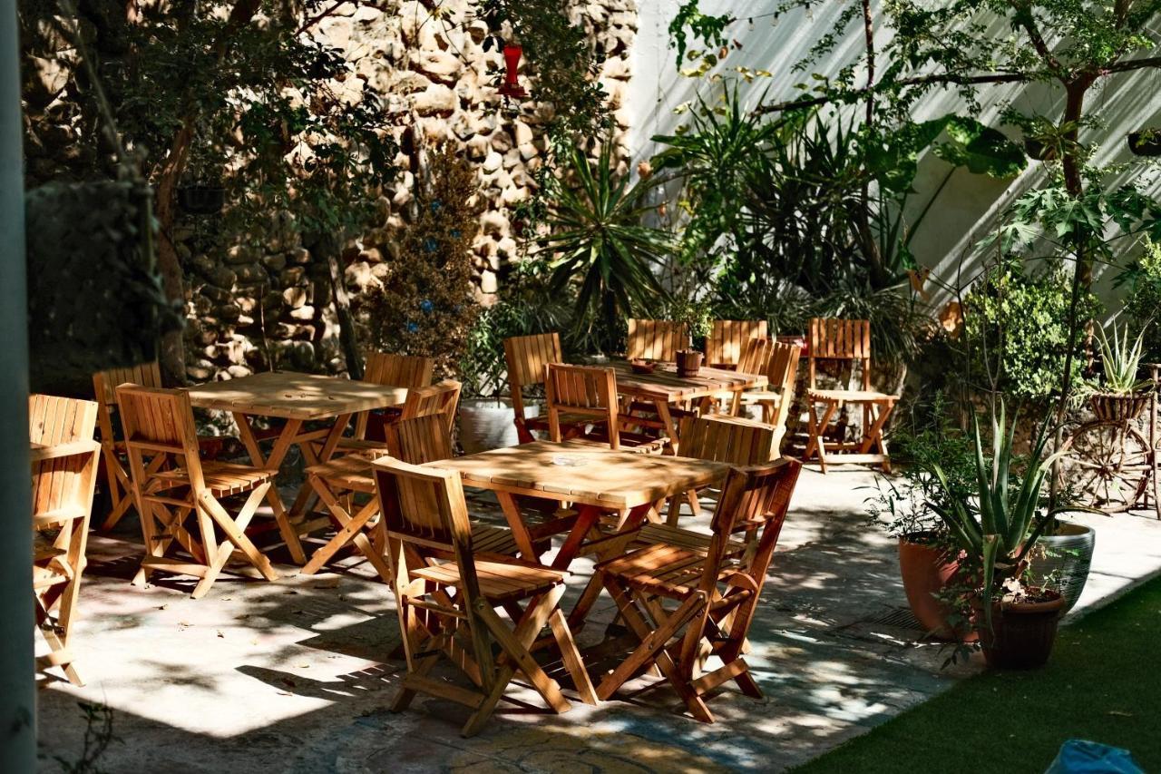 A Pousada Leveli Coliving Guadalajara Exterior foto
